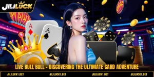 Live Bull Bull - Discovering The Ultimate Card Adventure
