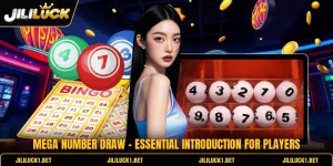 Mega Number Draw - Essential Introduction For Players