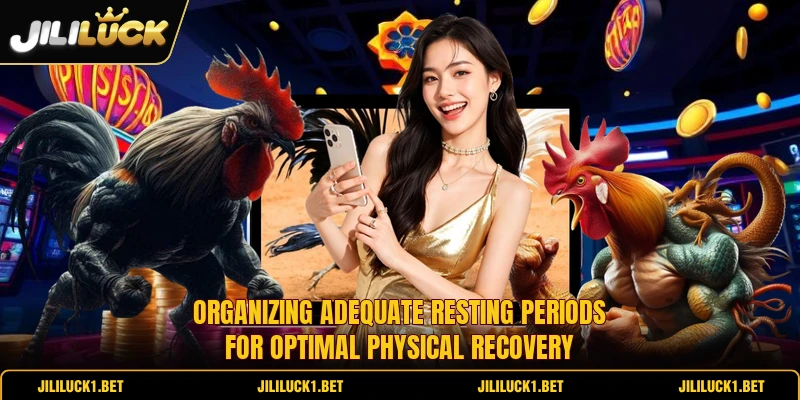 Organizing adequate resting periods for optimal physical recovery