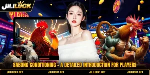 Sabong Conditioning - A Detailed Introduction For Players