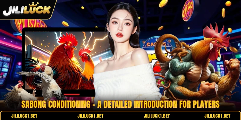 Sabong Conditioning - A Detailed Introduction For Players