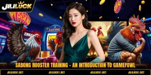 Sabong Rooster Training - An Introduction To Gamefowl